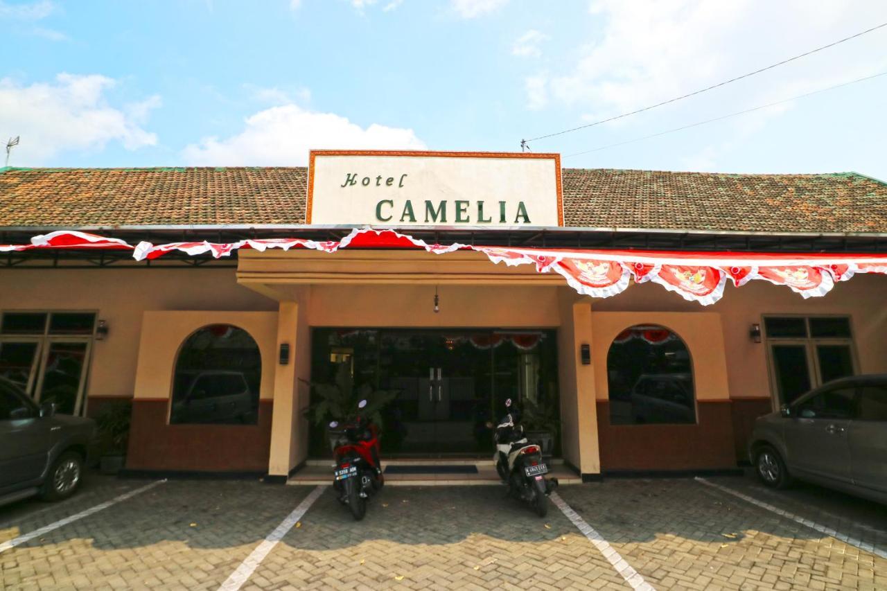 Hotel Camelia Malang Ngoại thất bức ảnh